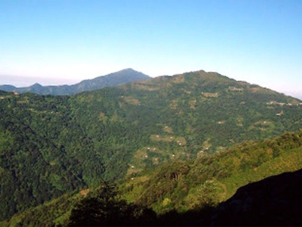 चोरीशिकारी बढेपछि चुरे क्षेत्रमा मासिँदै पशुपंक्षी